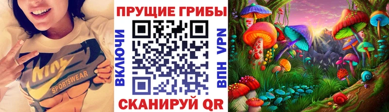 Псилоцибиновые грибы GOLDEN TEACHER Купить закладки Приволжский